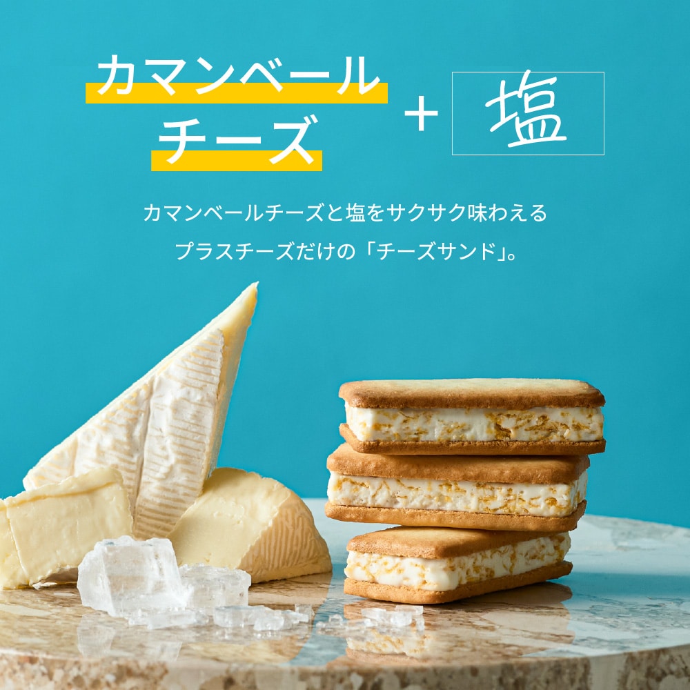 プラスチーズ +Cheese 6個（包装済、のしは外のし）