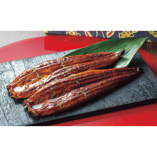 お歳暮 ギフト うなぎ 大森淡水 九州産うなぎ蒲焼大容量セット(10尾) メーカー直送   のし・包装紙・メッセージカード不可 /  鰻 ウナギ 蒲焼き グルメ 和食惣菜 2025  贈答品 贈り物 詰合せ 詰め合わせ セット JGS 送料無料