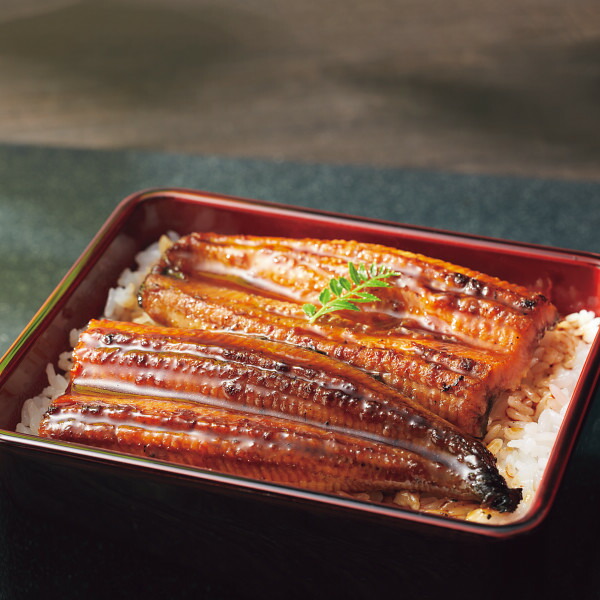 お歳暮 ギフト うなぎ 大森淡水 九州産うなぎ蒲焼大容量セット(10尾) メーカー直送   のし・包装紙・メッセージカード不可 /  鰻 ウナギ 蒲焼き グルメ 和食惣菜 2025  贈答品 贈り物 詰合せ 詰め合わせ セット JGS 送料無料