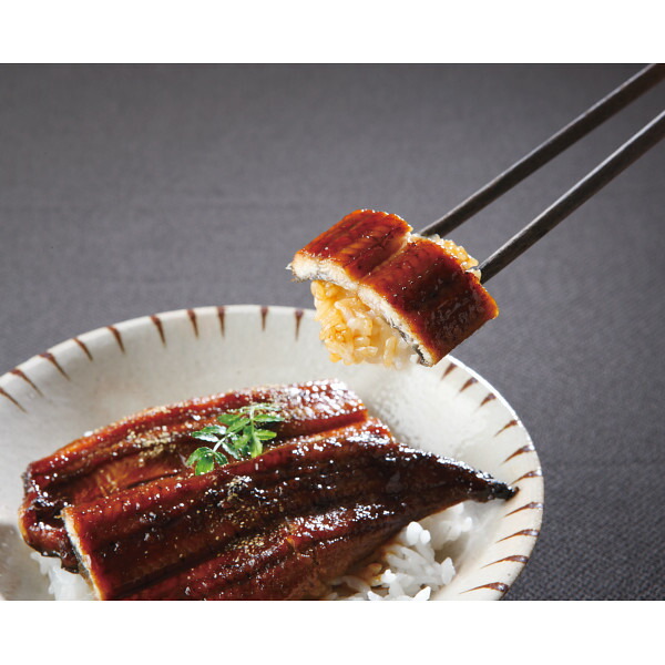 お歳暮 ギフト うなぎ 大森淡水 九州産うなぎ蒲焼大容量セット(10尾) メーカー直送   のし・包装紙・メッセージカード不可 /  鰻 ウナギ 蒲焼き グルメ 和食惣菜 2025  贈答品 贈り物 詰合せ 詰め合わせ セット JGS 送料無料