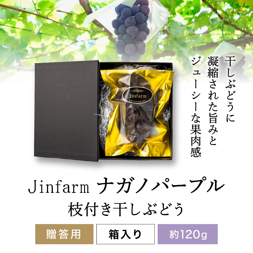 1房丸ごと Jinfarm ナガノパープル 干しぶどう 120g 期間限定 予約受付中 10月20日頃から出荷予定 配送日指定不可