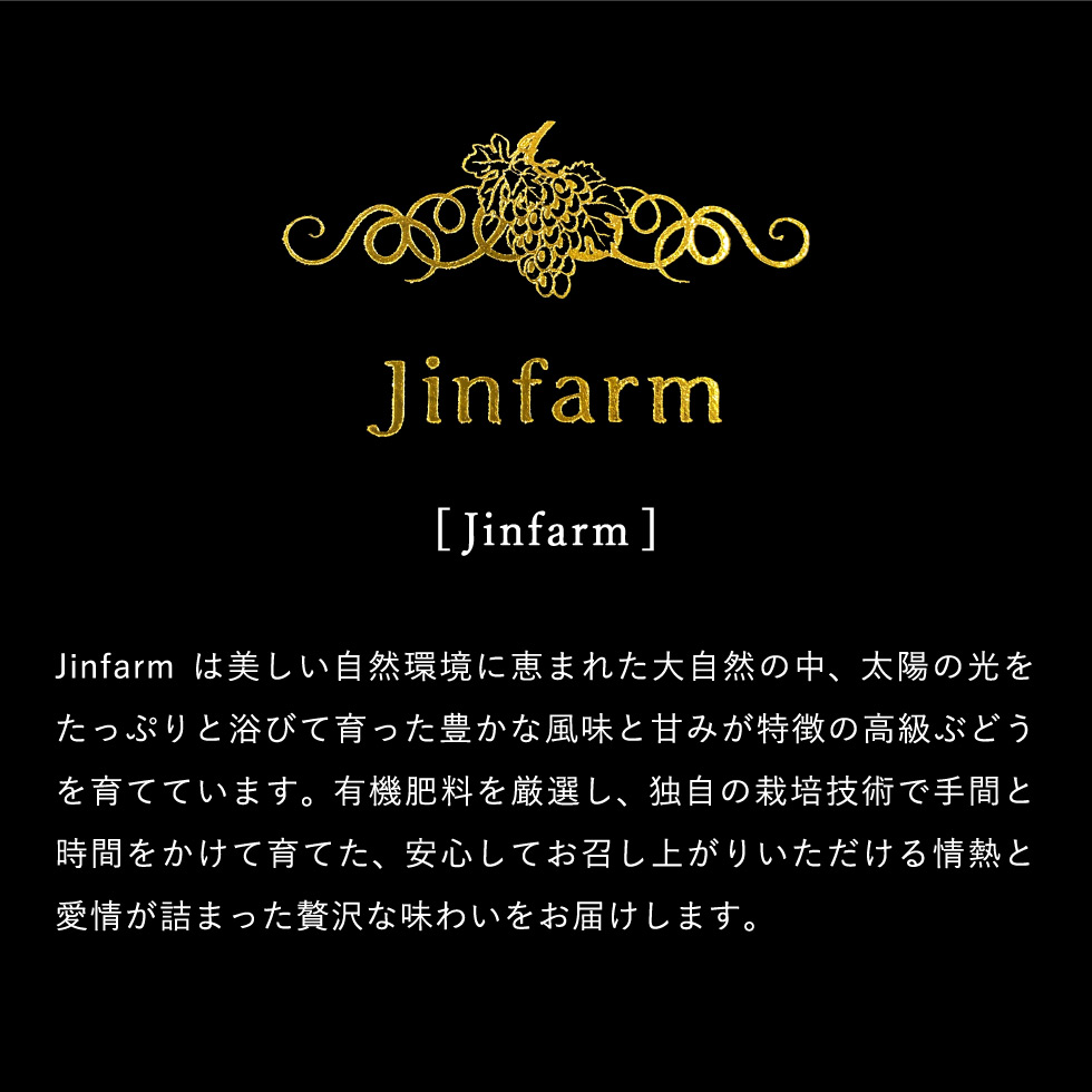 1房丸ごと Jinfarm 大皇シャインマスカット 干しぶどう 120g 期間限定 配送日指定不可