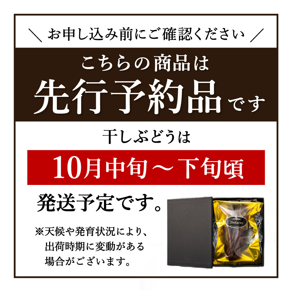 1房丸ごと Jinfarm ナガノパープル 干しぶどう 120g 期間限定 予約受付中 10月20日頃から出荷予定 配送日指定不可