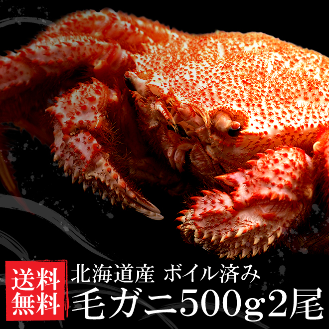 北海道産 ボイル毛ガニ2尾セット【北海道直送】【送料無料】【メーカー直送商品】【代引き・メッセージ・カード・包装紙、指定不可】| 『内祝い』『出産内祝い』
