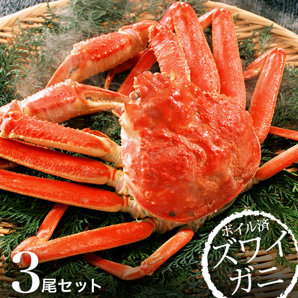 ロシア産ボイル ズワイガニ 1尾570g×3尾【北海道直送】【送料無料】【メーカー直送商品】【代引き・メッセージ・カード・包装紙、指定不可】| 『内祝い』『出産内祝い』