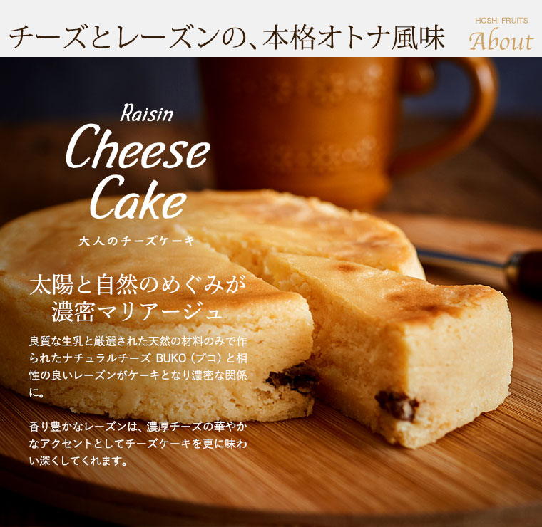 ホシフルーツ 大人のチーズケーキ(HFOC-001)