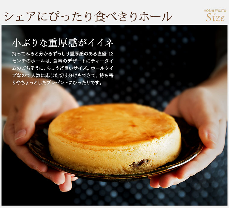 ホシフルーツ 大人のチーズケーキ(HFOC-001)