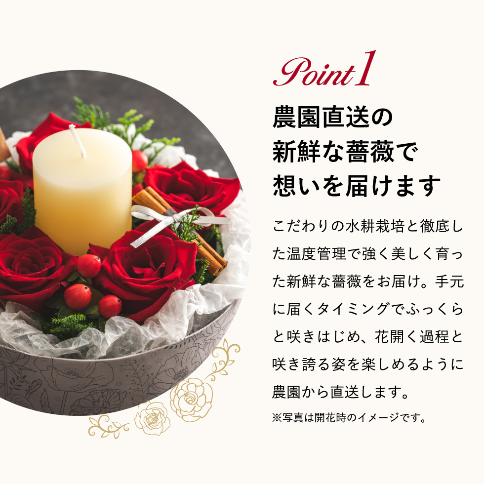 ホシファーム 薔薇のケーキでお祝いギフト キャンドル付き ルージュ / カラフル (メーカー直送)(のし包装紙メッセージカード不可)