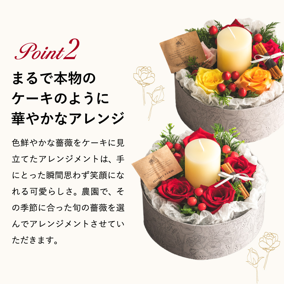 ホシファーム 薔薇のケーキでお祝いギフト キャンドル付き ルージュ / カラフル (メーカー直送)(のし包装紙メッセージカード不可)
