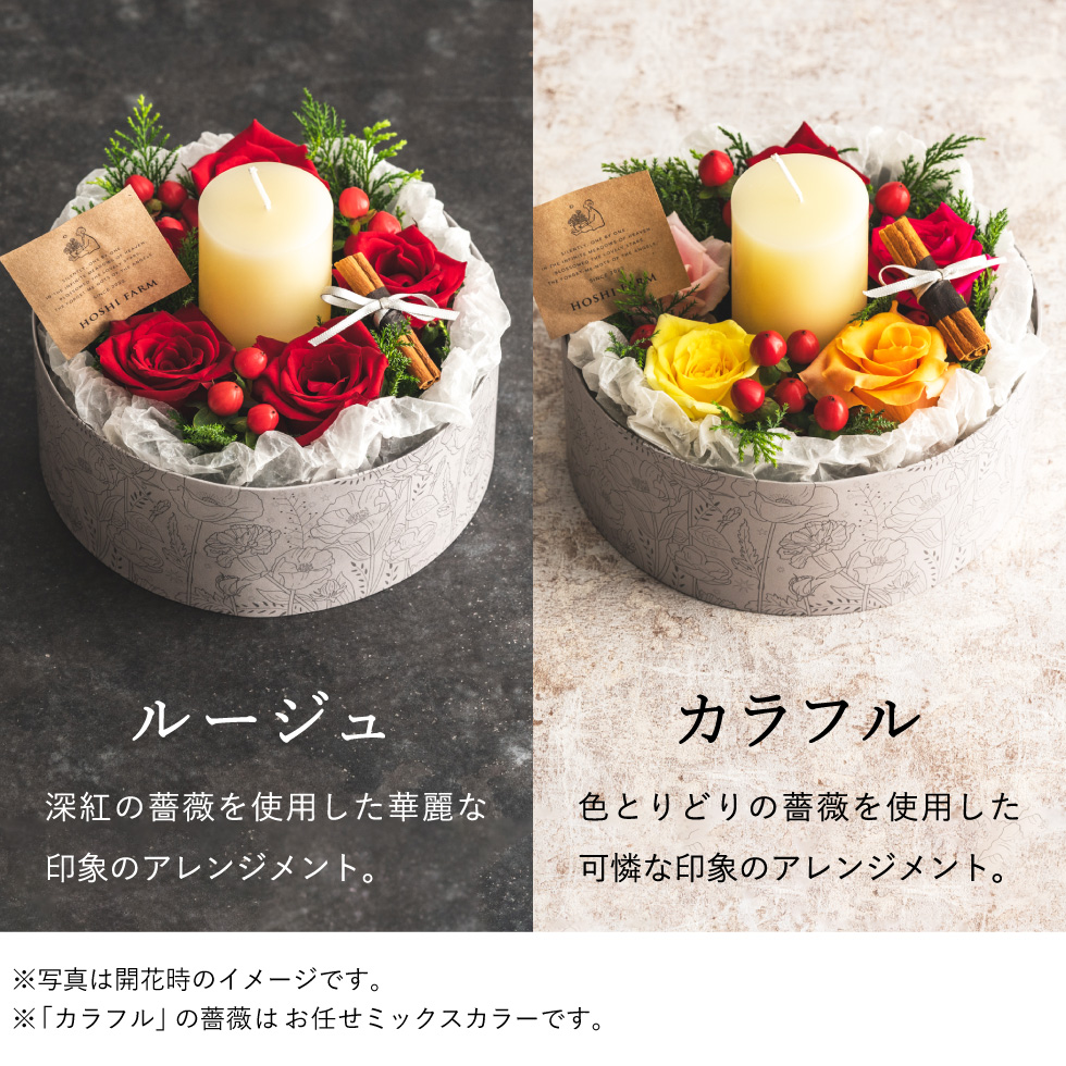 ホシファーム 薔薇のケーキでお祝いギフト キャンドル付き ルージュ / カラフル (メーカー直送)