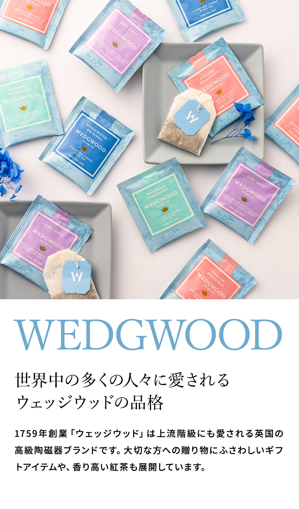 お菓子 ミルフイユ＆ウェッジウッドティーバッグセット 16個 WWJ-03A