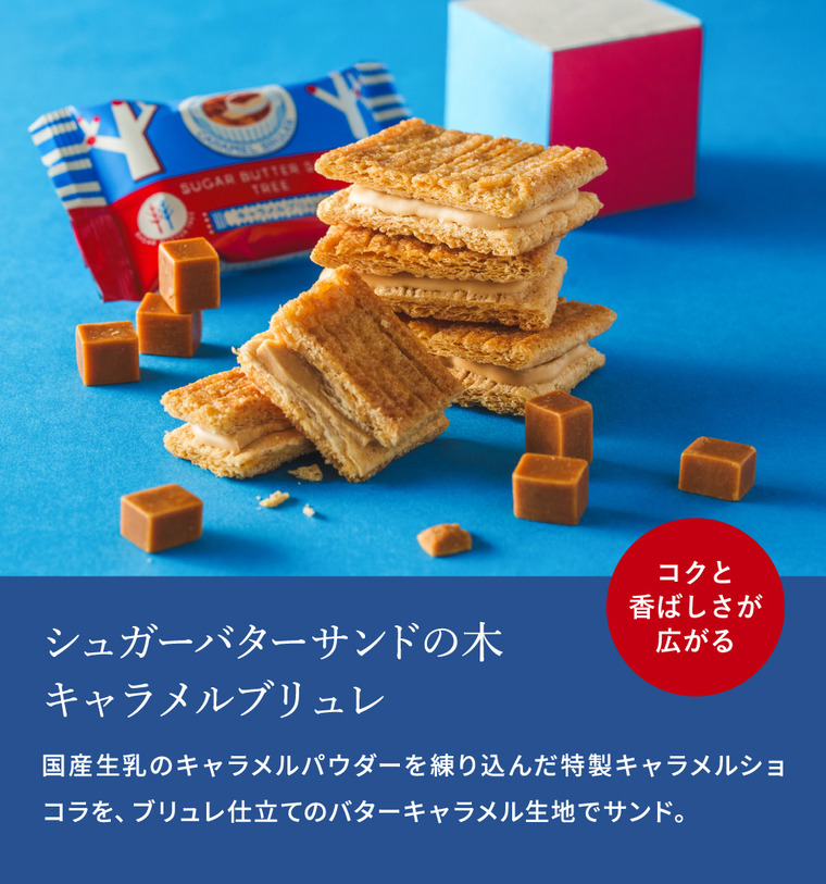 ギフト スイーツ シュガーバターサンドの木 コレクション 34個入 シュガーバターの木 お菓子 定番 個包装 まとめ買い sugar butter tree