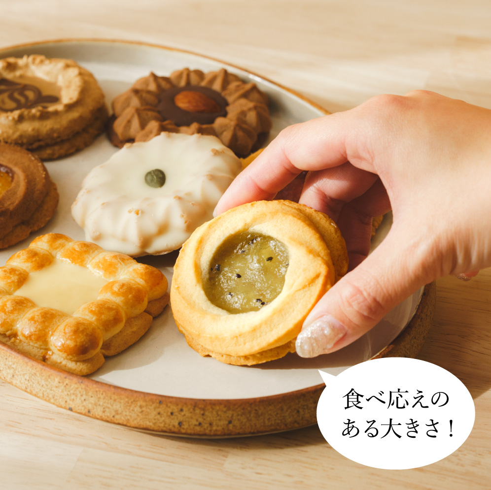 お菓子 ギフト 7種から選べる プラチノロシアケーキ 2個入 のし・包装不可 クッキー 焼き菓子 洋菓子 メッセージカード無料 送料無料