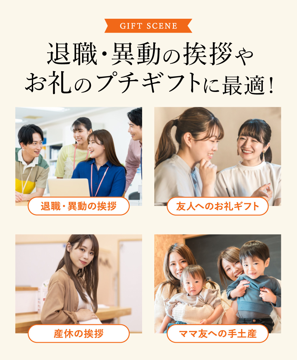 お菓子 ギフト 7種から選べる プラチノロシアケーキ 2個入 のし・包装不可 クッキー 焼き菓子 洋菓子 メッセージカード無料 送料無料