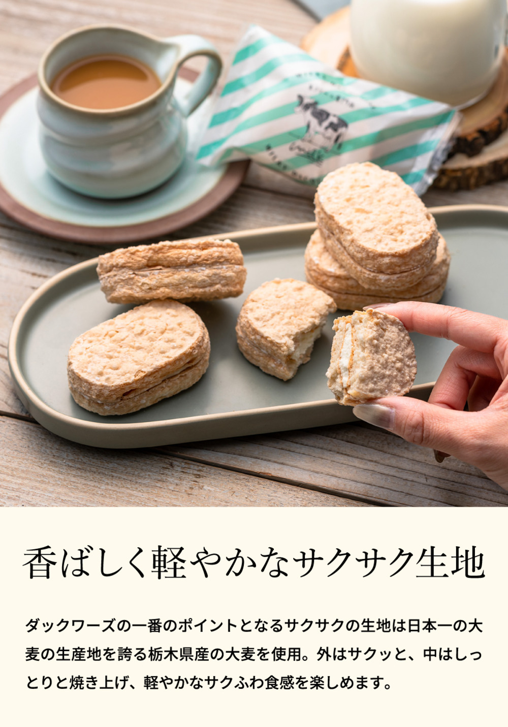 お菓子 ギフト ミルキーダックワーズ 5個入 生クリーム専門店Milk ミルク スイーツ 洋菓子 ダックワーズ ミルキークリーム