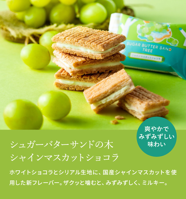 お菓子 ギフト スイーツ 期間限定 シュガーバターサンドの木 シャインマスカットショコラ 7個入 シュガーバターの木 定番 個包装 まとめ買い sugar butter tree JGS