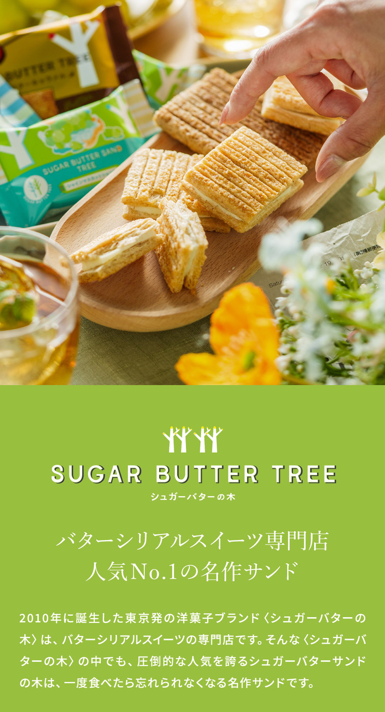 お菓子 ギフト スイーツ 期間限定 シュガーバターサンドの木 シャインマスカットショコラ 7個入 シュガーバターの木 定番 個包装 まとめ買い sugar butter tree JGS