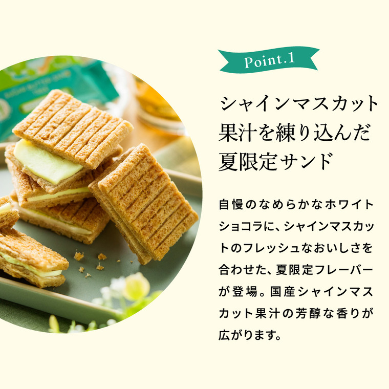 お菓子 ギフト スイーツ 期間限定 シュガーバターサンドの木 シャインマスカットショコラ 7個入 シュガーバターの木 定番 個包装 まとめ買い sugar butter tree JGS