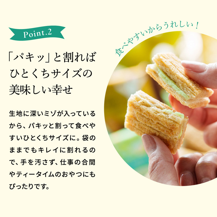 お菓子 ギフト スイーツ 期間限定 シュガーバターサンドの木 シャインマスカットショコラ 7個入 シュガーバターの木 定番 個包装 まとめ買い sugar butter tree JGS