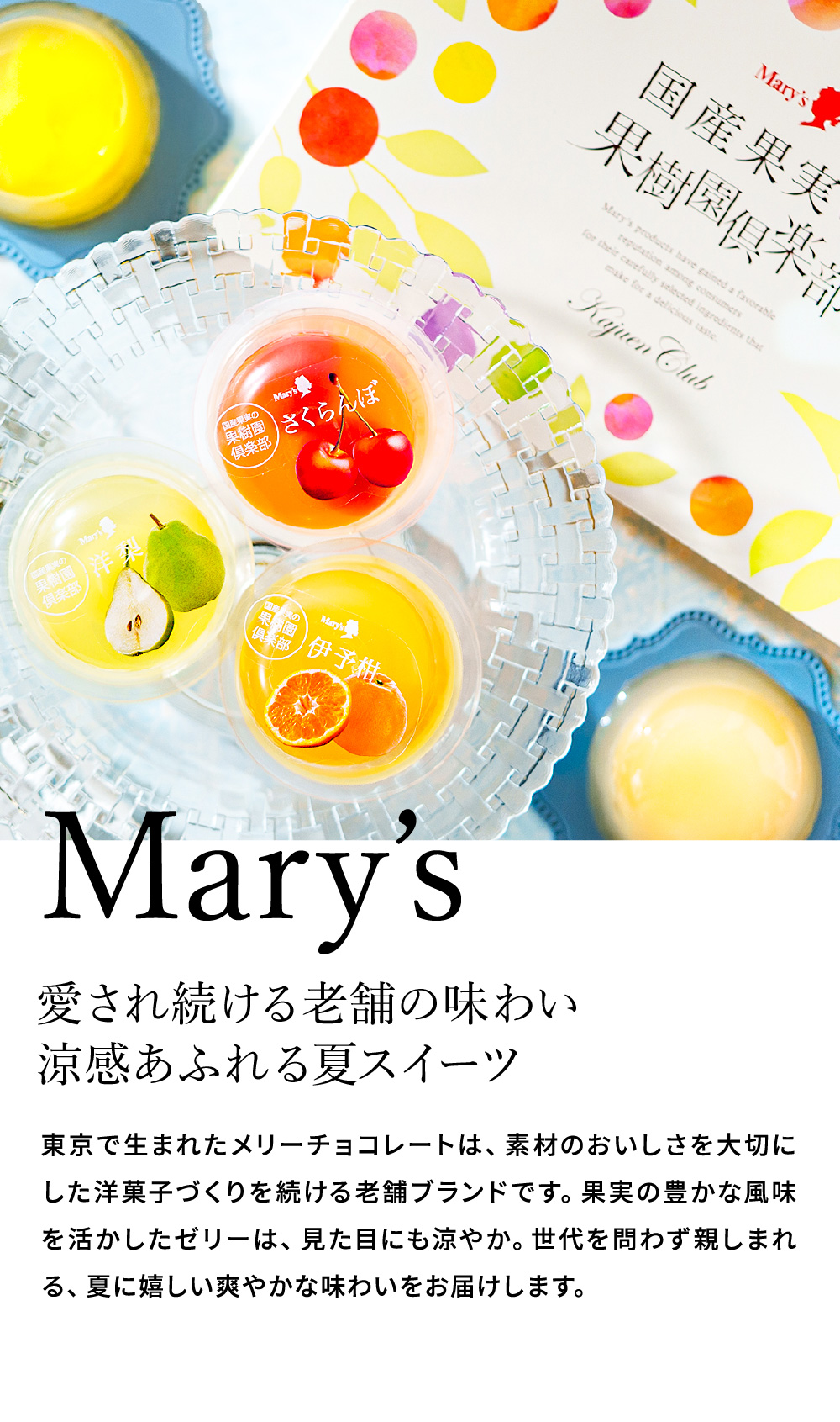 高島屋 法人事業部 セレクト ギフト メリーチョコレート 国産果実の果樹園倶楽部 6個 フルーツゼリー