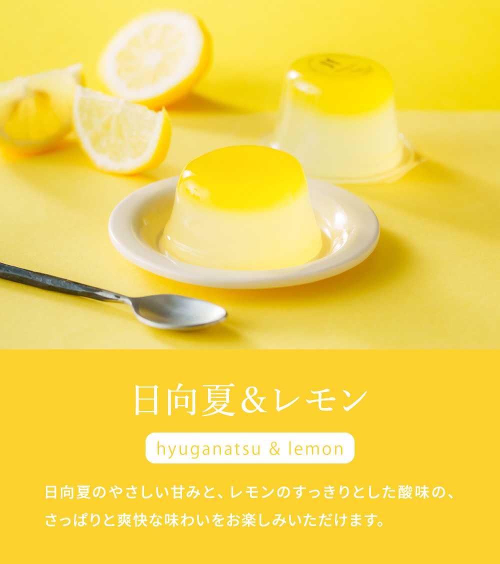 お菓子 ゼリー ギフト ユーハイム 2層仕立てのフルーツゼリー 12個 フルーツゼリー