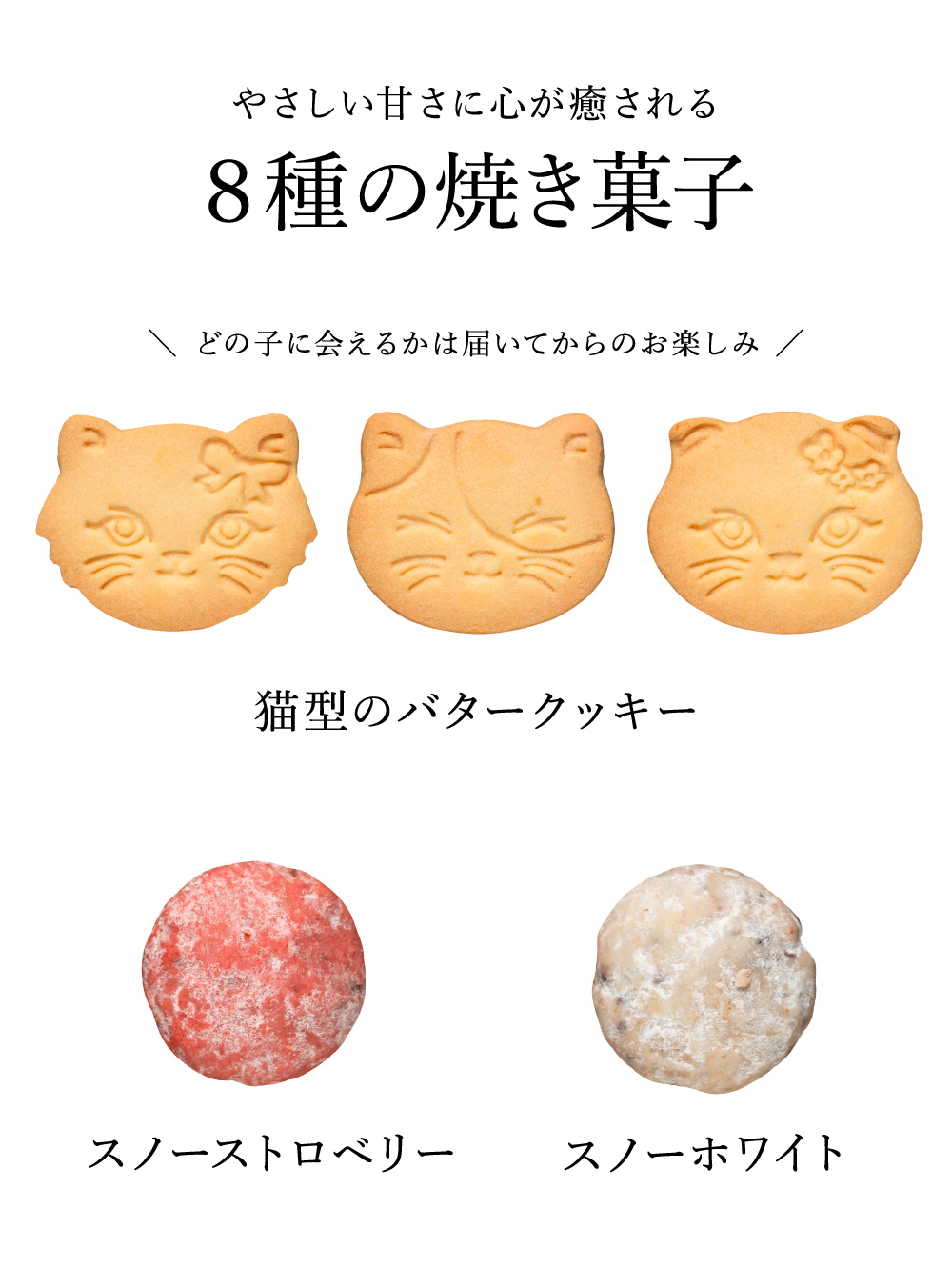 ホワイトデー お返し お菓子 ギフト こねこのこねこねクッキー缶