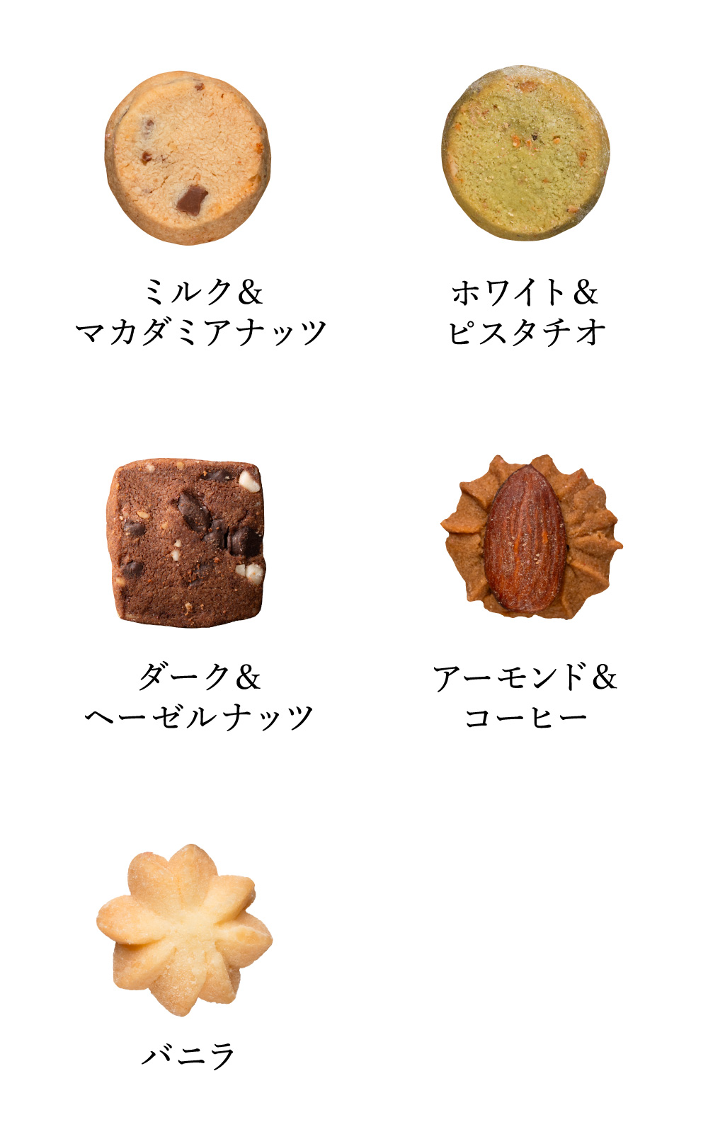ホワイトデー お返し お菓子 ギフト こねこのこねこねクッキー缶