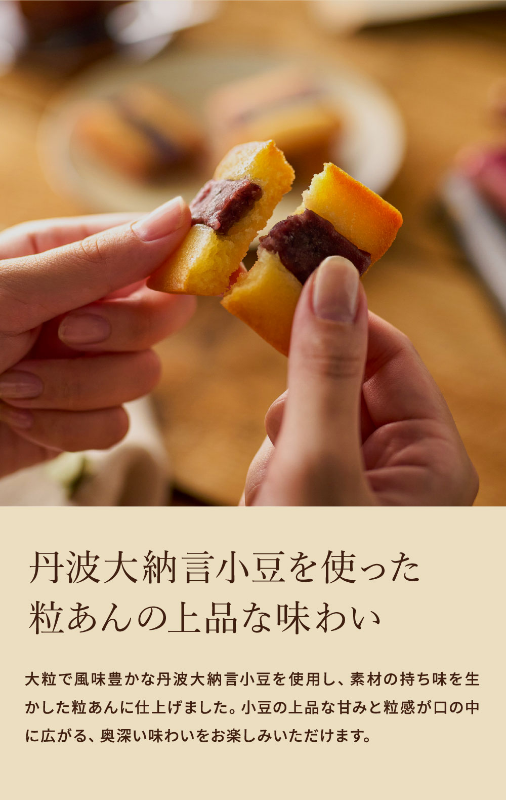 中島大祥堂 丹波大納言小豆 あんバターケーキ 12個入 / 焼き菓子 和洋菓子 個包装