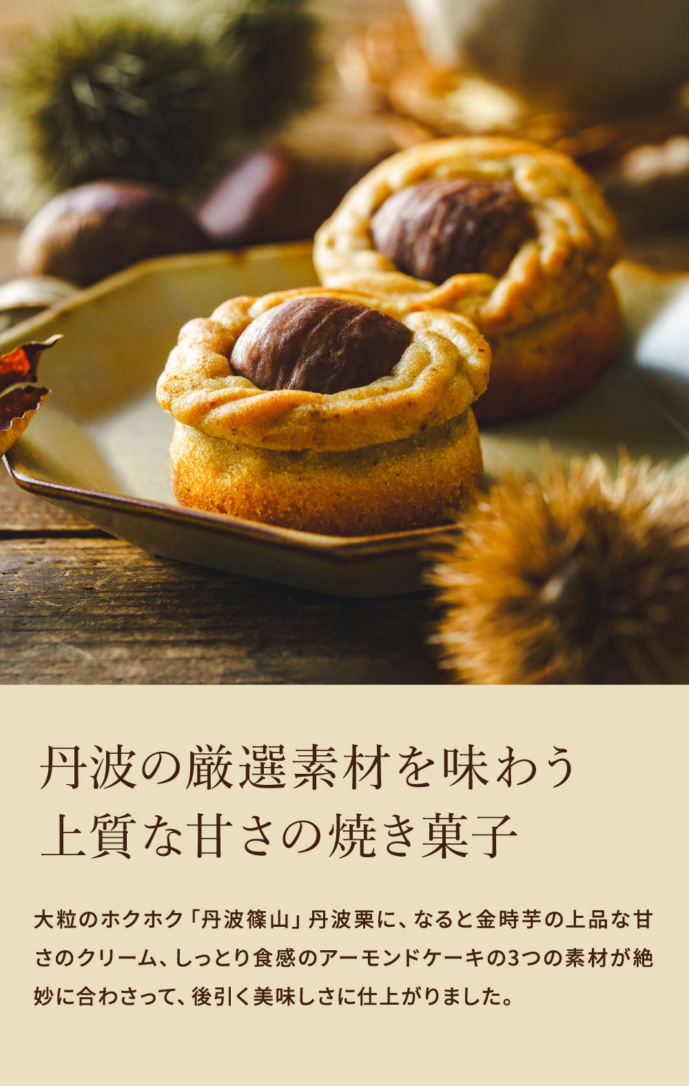 中島大祥堂 丹波栗の焼きモンブラン 6個入 / 焼き菓子 和洋菓子 個包装 丹波栗 栗 栗スイーツ マロン