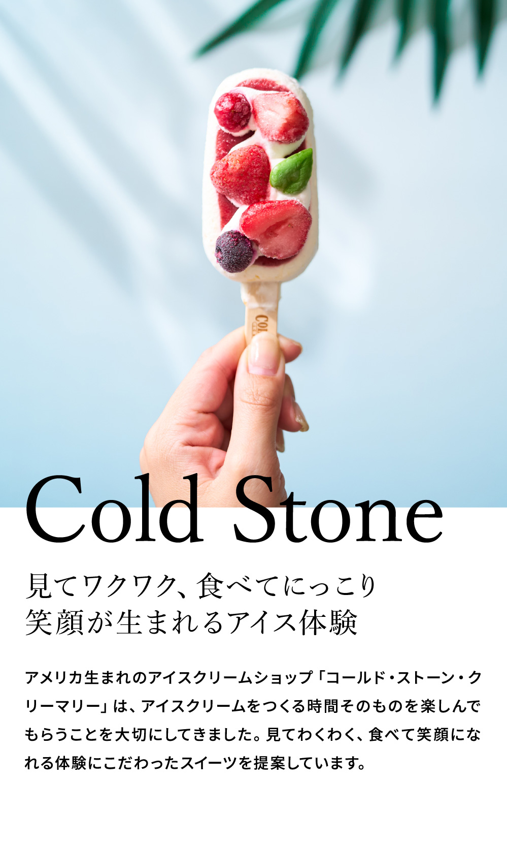 コールドストーン プレミアムアイスキャンディ 8本