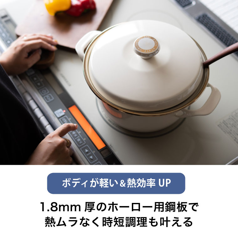 富士ホーロー 両手鍋 キャセロール 20cm IH対応 EX-20W
