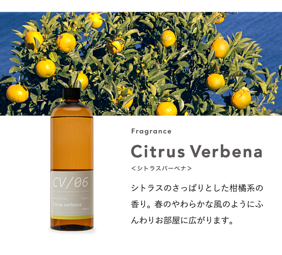 mercyu リードディフューザー メルシーユー詰め替え 480ml MRUS-50