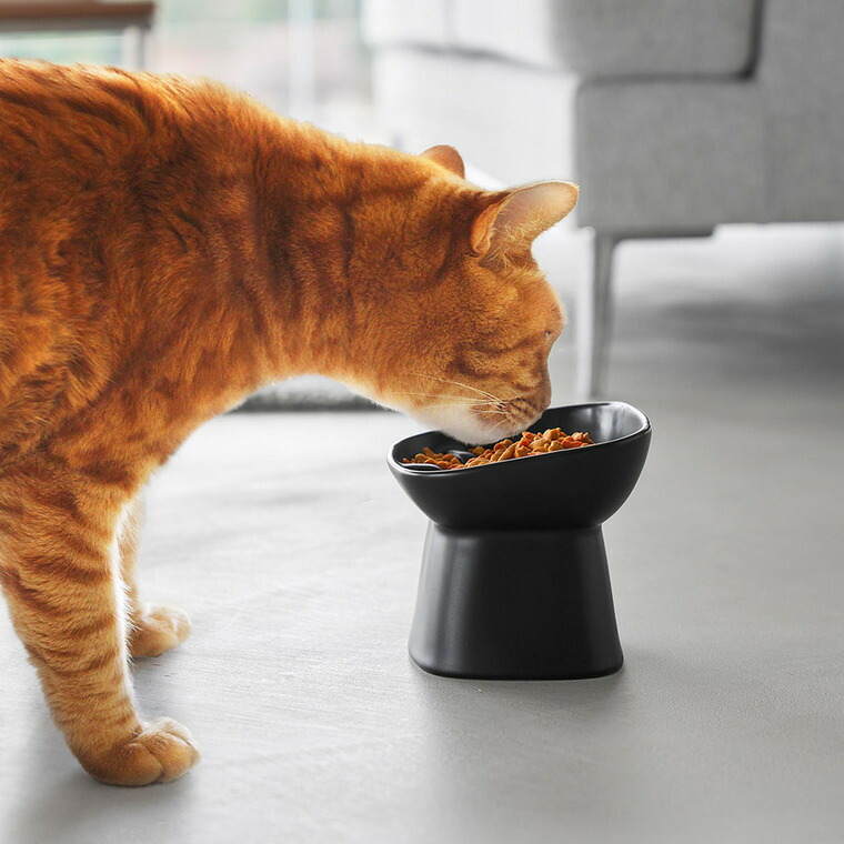 山崎実業 nooks 早食い防止陶器ペットフードボウル ヌークス 斜め H11.5 山崎実業 tower 公式 10557 10558 ホワイト ブラック