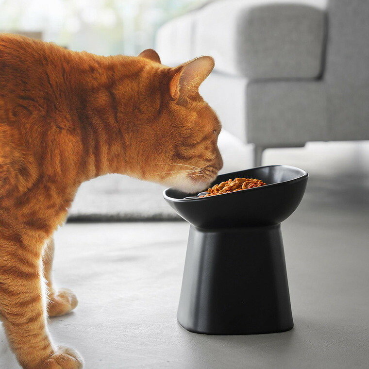 山崎実業 nooks 早食い防止陶器ペットフードボウル ヌークス 斜め H17 山崎実業 tower 公式 10559 10560 ホワイト ブラック 送料無料