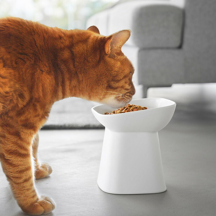 山崎実業 nooks 食べやすい高さ陶器ペットフードボウル ヌークス 斜め H17 山崎実業 tower 公式 10561 10562 ホワイト ブラック 送料無料