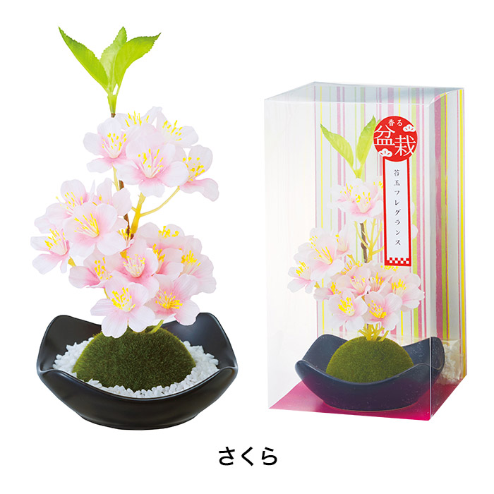 苔玉フレグランス（桜/松） カメヤマローソク