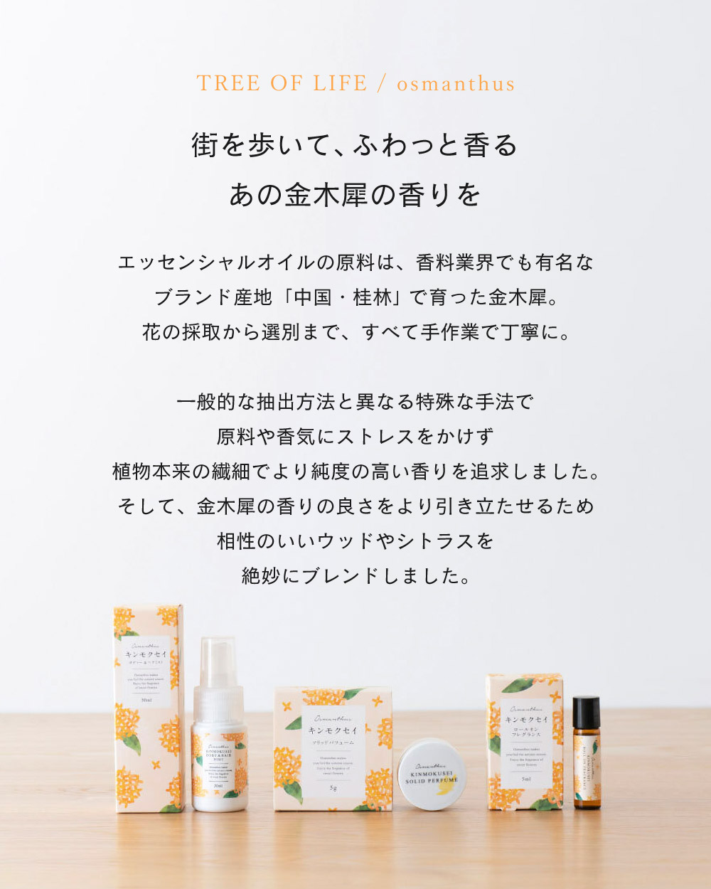 生活の木 金木犀 キンモクセイ ブレンドエッセンシャルオイル 10ml / 季節限定