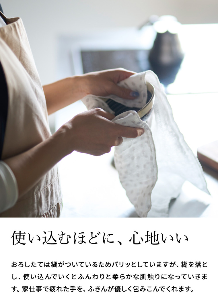 中川政七商店 ふきん 「手描きの風合いの」かや織ふきん 2枚セット ギフトボックス