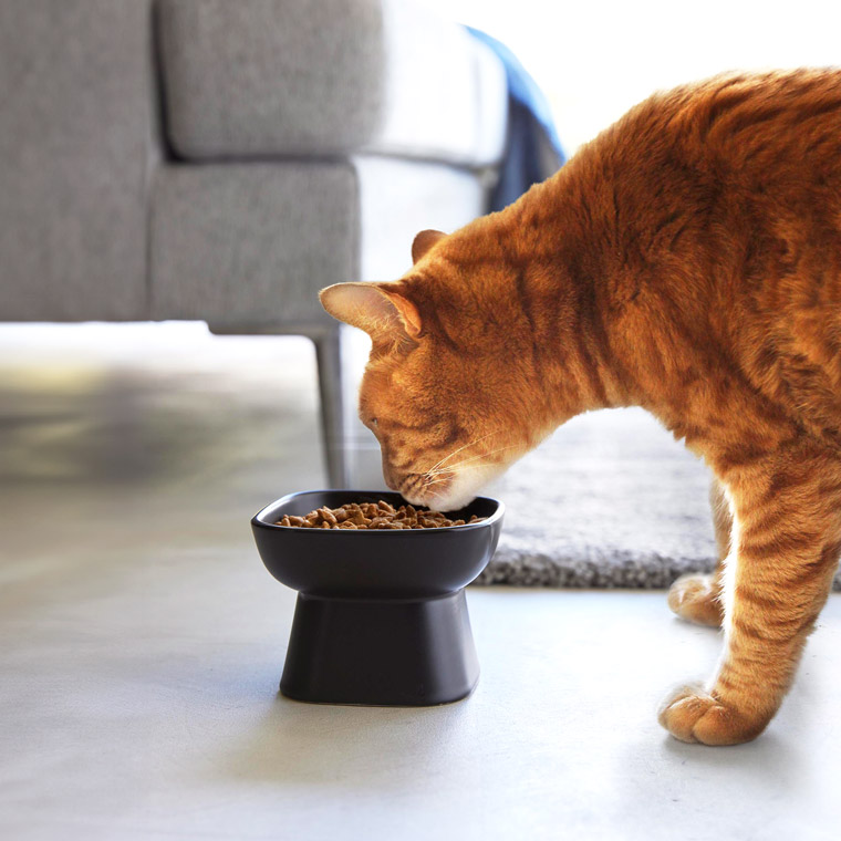 山崎実業 tower 食べやすい高さ陶器ペットフードボウル タワー 1779 1780 ホワイト ブラック