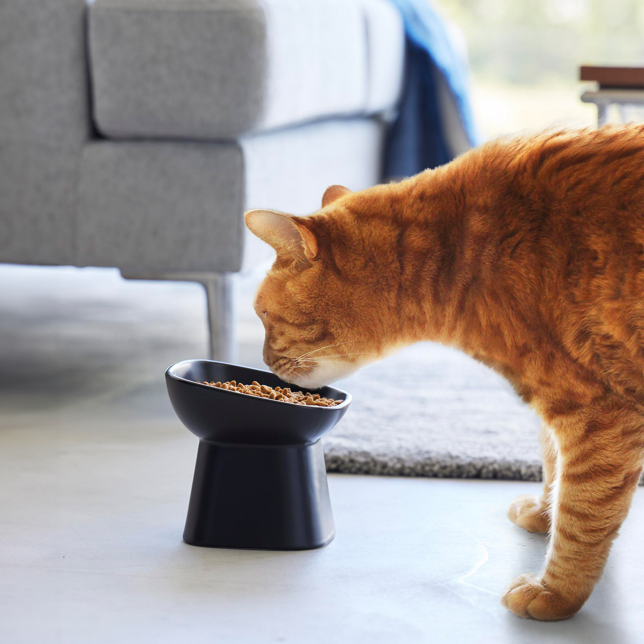 山崎実業 tower 食べやすい高さ陶器ペットフードボウル タワー 斜めトール 1781 1781 ホワイト ブラック