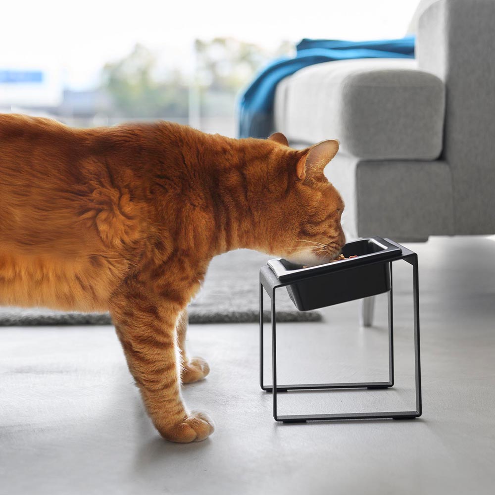 ペットフードボウルスタンド タワー 斜めハイタイプ 山崎実業 tower 10035 10036 ホワイト ブラック 送料無料