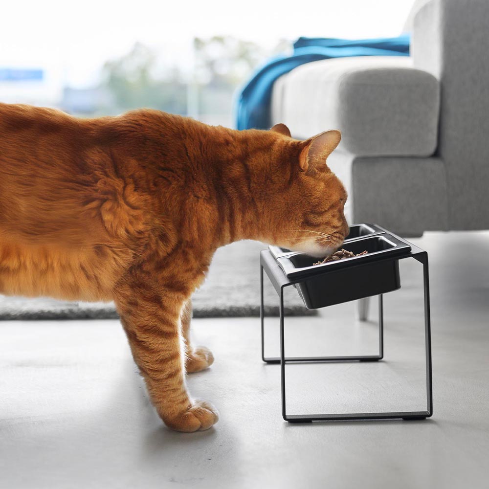 ペットフードボウルスタンドセット タワー 斜めハイタイプ 山崎実業 tower 10037 10038 ホワイト ブラック 送料無料