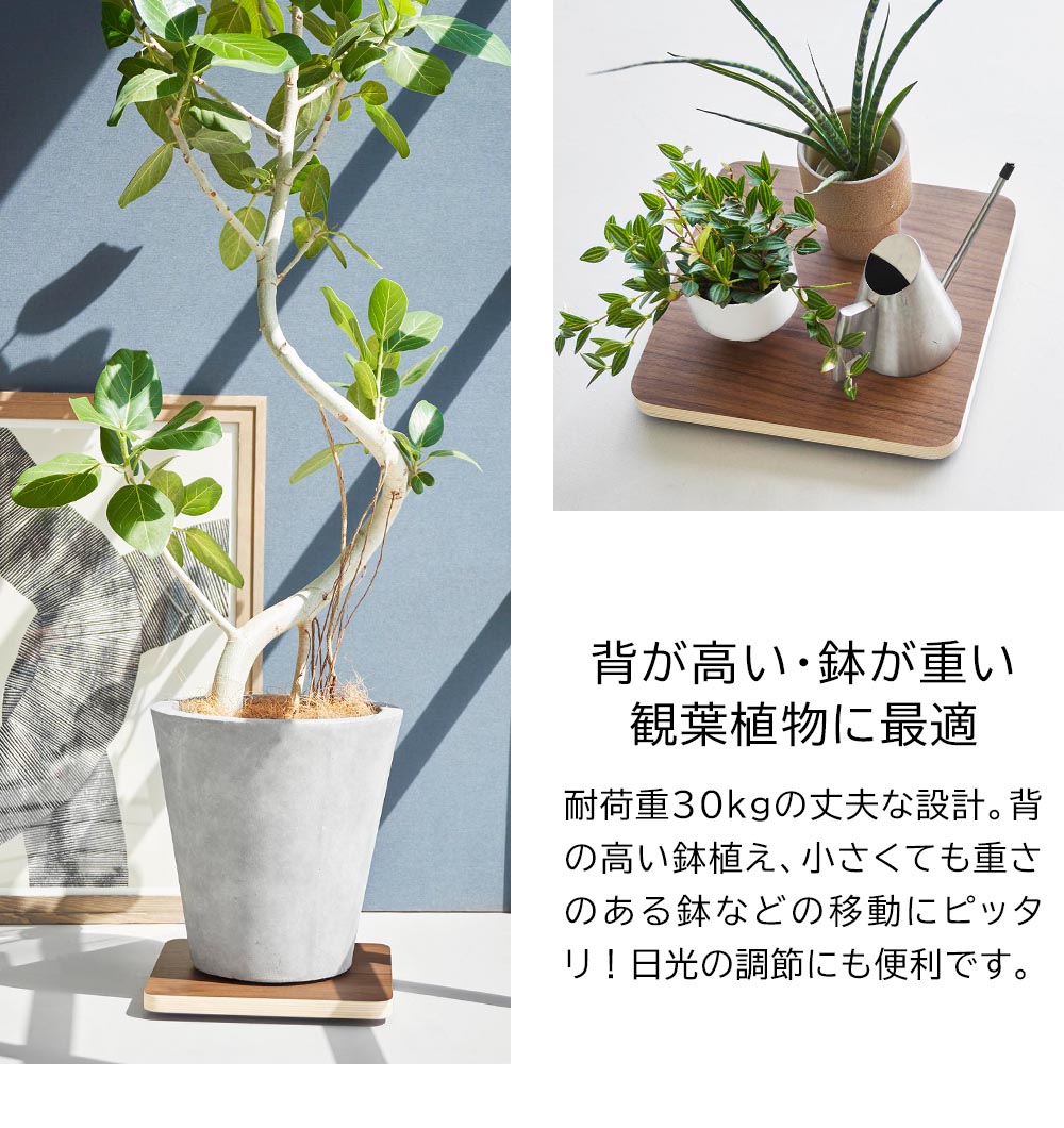 インテリア低台車 リン スクエア 山崎実業 公式 RIN 10064 10065 ブラウン ナチュラル / 平台車 耐荷重30kg 送料無料