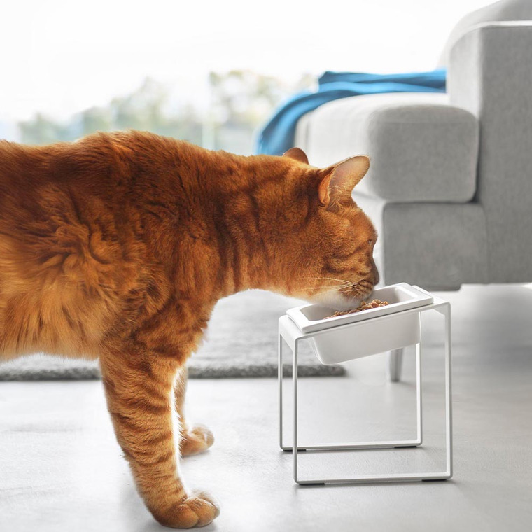 早食い防止ペットフードボウルスタンド タワー 斜めハイタイプ 山崎実業 tower 10239 10240 ホワイト ブラック 送料無料