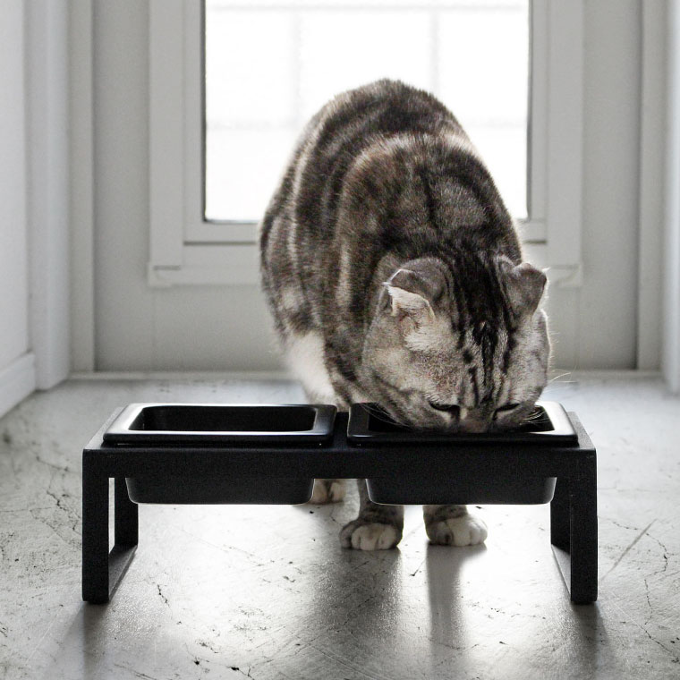 ペットフードボウルスタンドセット トール タワー 山崎実業 tower ホワイト/ブラック 4744 4745 タワーシリーズ