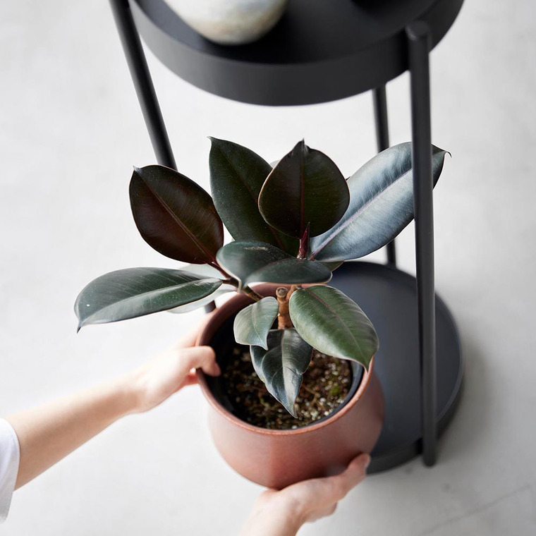 山崎実業 towerキャスター付きプランタースタンド タワー 2段