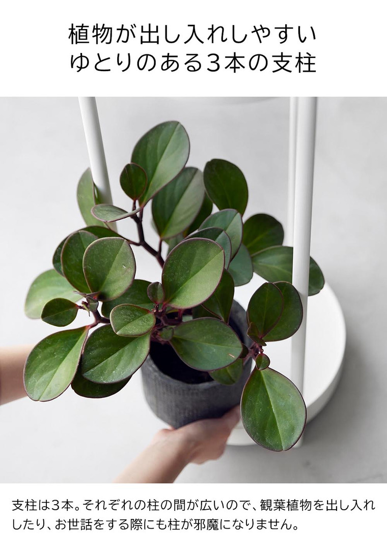 山崎実業 towerキャスター付きプランタースタンド タワー 2段